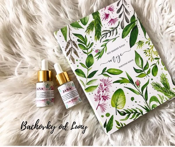 Změnit špatné návyky psa lze i zevnitř